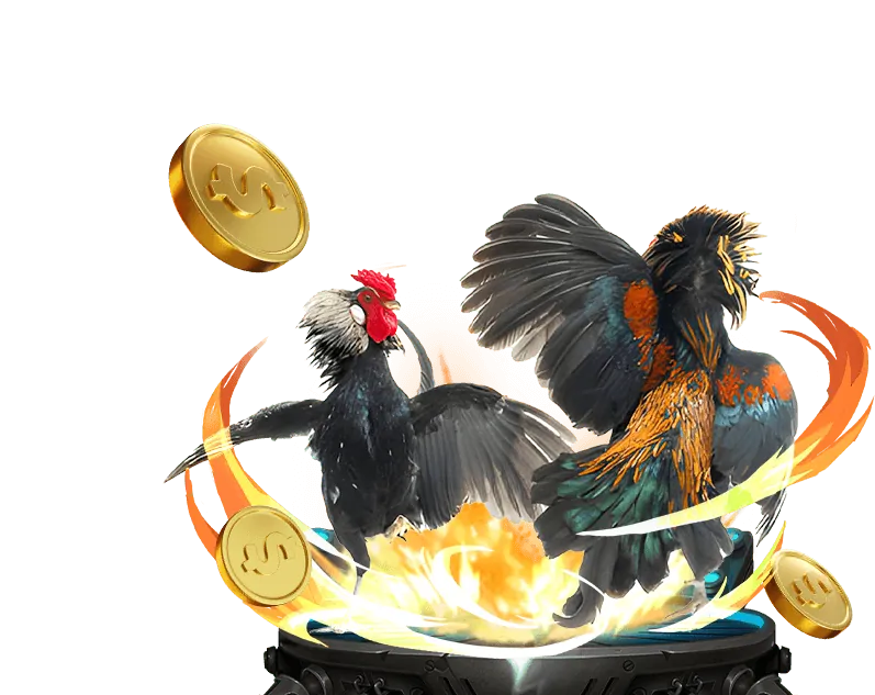 Sòng bài trực tuyến Netwin